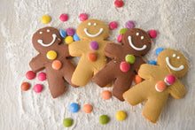 Load image into Gallery viewer, Gingerbread Man - Original in CLEAR Film