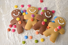 Load image into Gallery viewer, Gingerbread Man - Original in CLEAR Film
